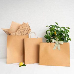 Custom kraft paper bag wholesale