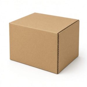 Read more about the article Why “Airplane-Style” Boxes Balance Drop Resistance and Lightweight Design: Three-Layer Corrugated Structure and Cold-Chain Logistics Suitability